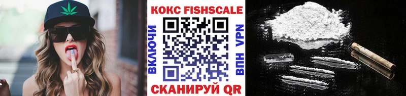 COCAIN Эквадор  omg зеркало  Петрозаводск  цена наркотик 