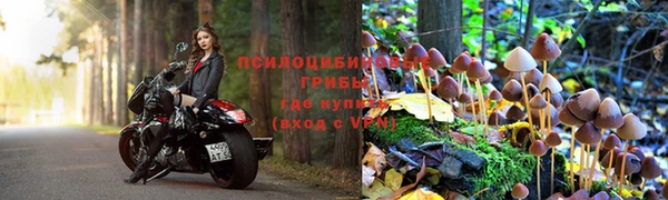 прущий лед Алексин