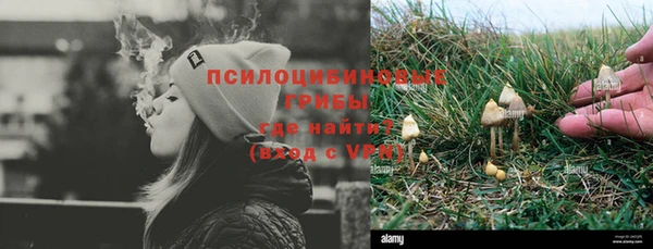 прущий лед Алексин