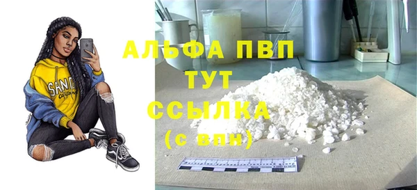 гашик Касимов
