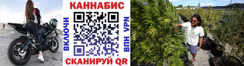 купить  цена  Петрозаводск  Бошки Шишки ГИДРОПОН 